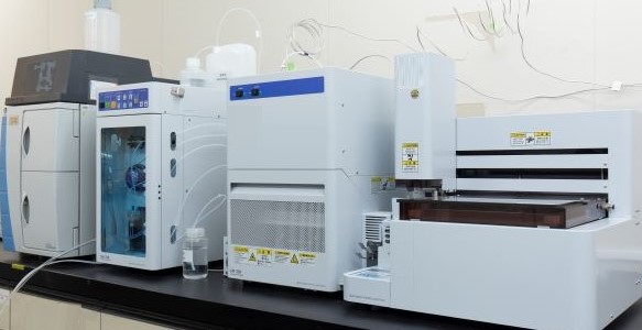 Combustion ion chromatography (CIC)