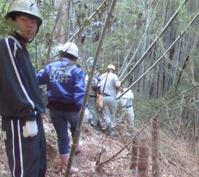 竹林整備の様子